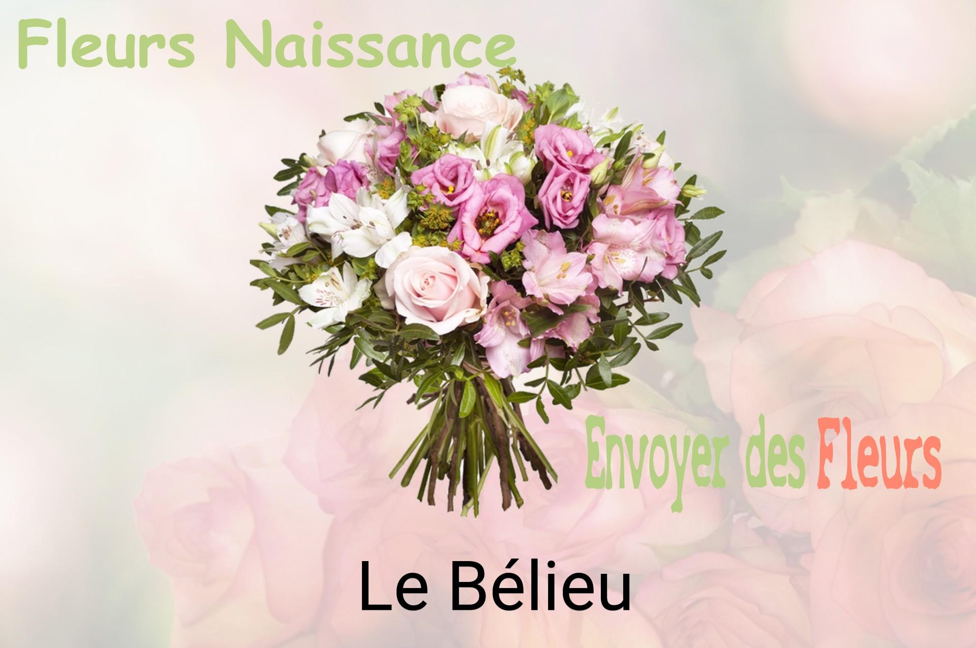 Bouquet de fleurs de naissance livré à Le Bélieu