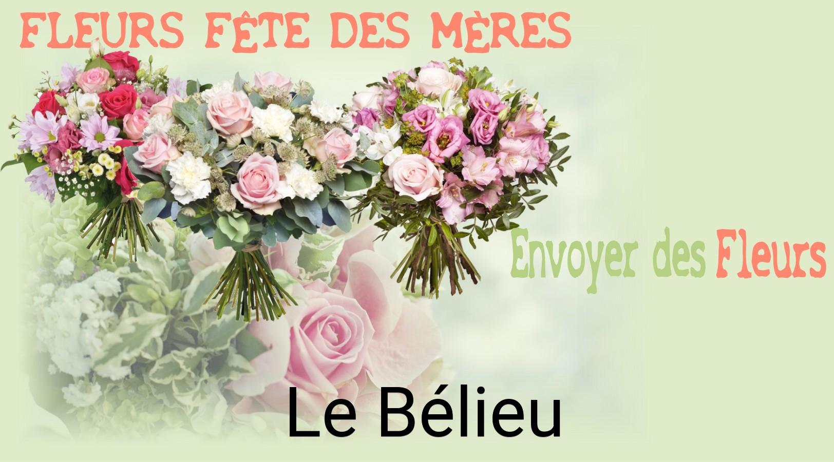 Bouquet de Fête des Mères livré à Le Bélieu
